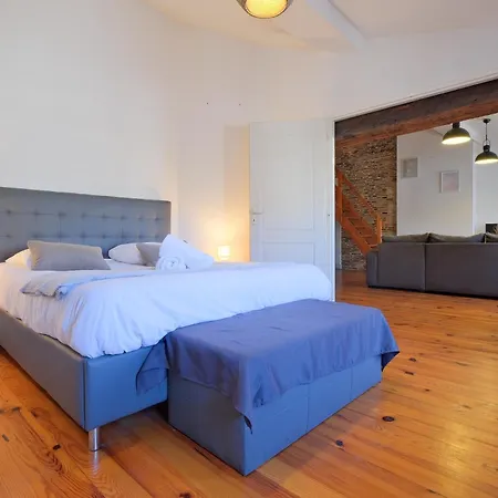 Le Cocon De Taillefer Apartment
