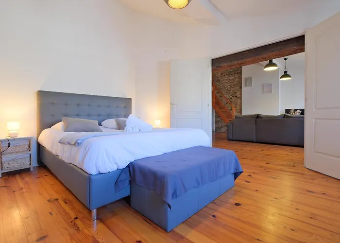 Le Cocon De Taillefer Apartmán